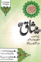 1 Custom TANZEEM-E-ISLAMI, Pakistan is working to re-establish / re-instate Khilafah by following the methodology of prophet Muhammad (SAWS)