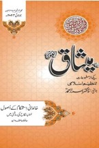 ooo Custom TANZEEM-E-ISLAMI, Pakistan is working to re-establish / re-instate Khilafah by following the methodology of prophet Muhammad (SAWS)